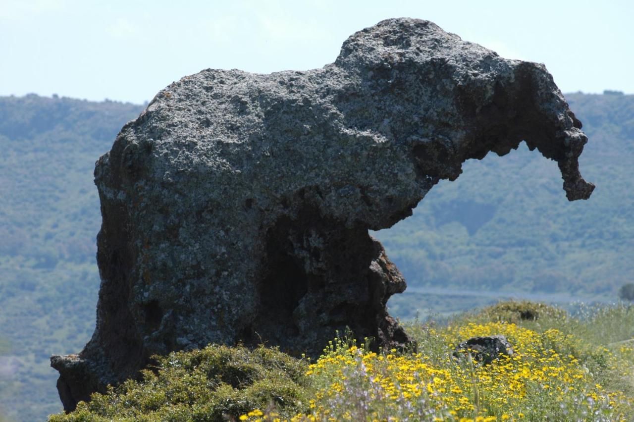 Affittacamere Likele Castelsardo Buitenkant foto